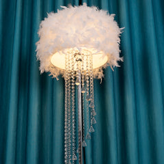 Aeyee Feather Floor Lamp, Modern Standing Lamp with Crystal, Cute Floor Lamp for Living Room Bedroom