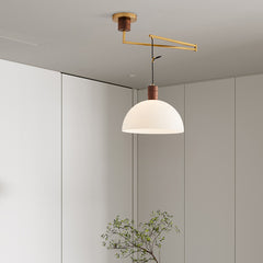 Aeyee Adjustable Pendant Light Fixture, Industrial Swing Arm Hanging Light with Glass Shade, Dome Ceiling Pendant Light