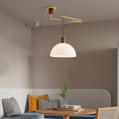 Aeyee Adjustable Pendant Light Fixture, Industrial Swing Arm Hanging Light with Glass Shade, Dome Ceiling Pendant Light