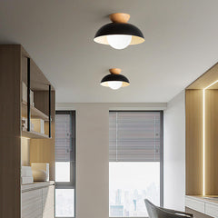 Aeyee Glass Flush Mount Ceiling Light, Dome Shaped Close to Ceiling Lighting for Kitchen Island Laundry Corridor