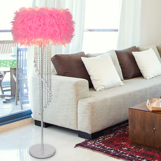 Aeyee Feather Floor Lamp, Modern Standing Lamp with Crystal, Cute Floor Lamp for Living Room Bedroom