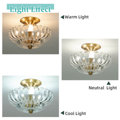 Aeyee Vintage Glass Flush Mount Ceiling Light, Petal Shape Ceiling Light Fixtures, Elegant Small Flush Chandelier for Hallway Entrance Kitchen