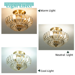Aeyee Vintage Glass Flush Mount Ceiling Light, Petal Shape Ceiling Light Fixtures, Elegant Small Flush Chandelier for Hallway Entrance Kitchen