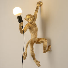 Aeyee Monkey Wall Sconce, Resin Wall Lamp, Industrial Hemp Rope Wall Light, Fun Monkey Light for Bedroom Front Door Living Room