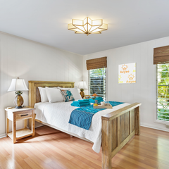 Aeyee Brass Flush Mount Ceiling Light, Star Shaped Ceiling Light Fixture, Mid Century Glass Ceiling Mount Lamp for Living Room Bedroom