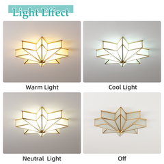 Aeyee Brass Flush Mount Ceiling Light, Star Shaped Ceiling Light Fixture, Mid Century Glass Ceiling Mount Lamp for Living Room Bedroom