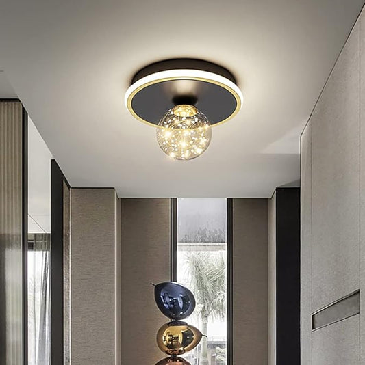 Aeyee Minimalist Globe Ceiling Light, LED Hallway Ceiling lamp with Glass Shade, Dimmable Round Lighting in Black
