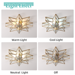 Aeyee Brass Flush Mount Ceiling Light - Star Shaped Lighting Fixture Bedroom Ceiling lamp with Glass Shade