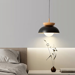 Aeyee Modern Glass Pendant Light Fixture, Dome Hanging Light, Adjustable Length Wood Hanging Pendant Lamp