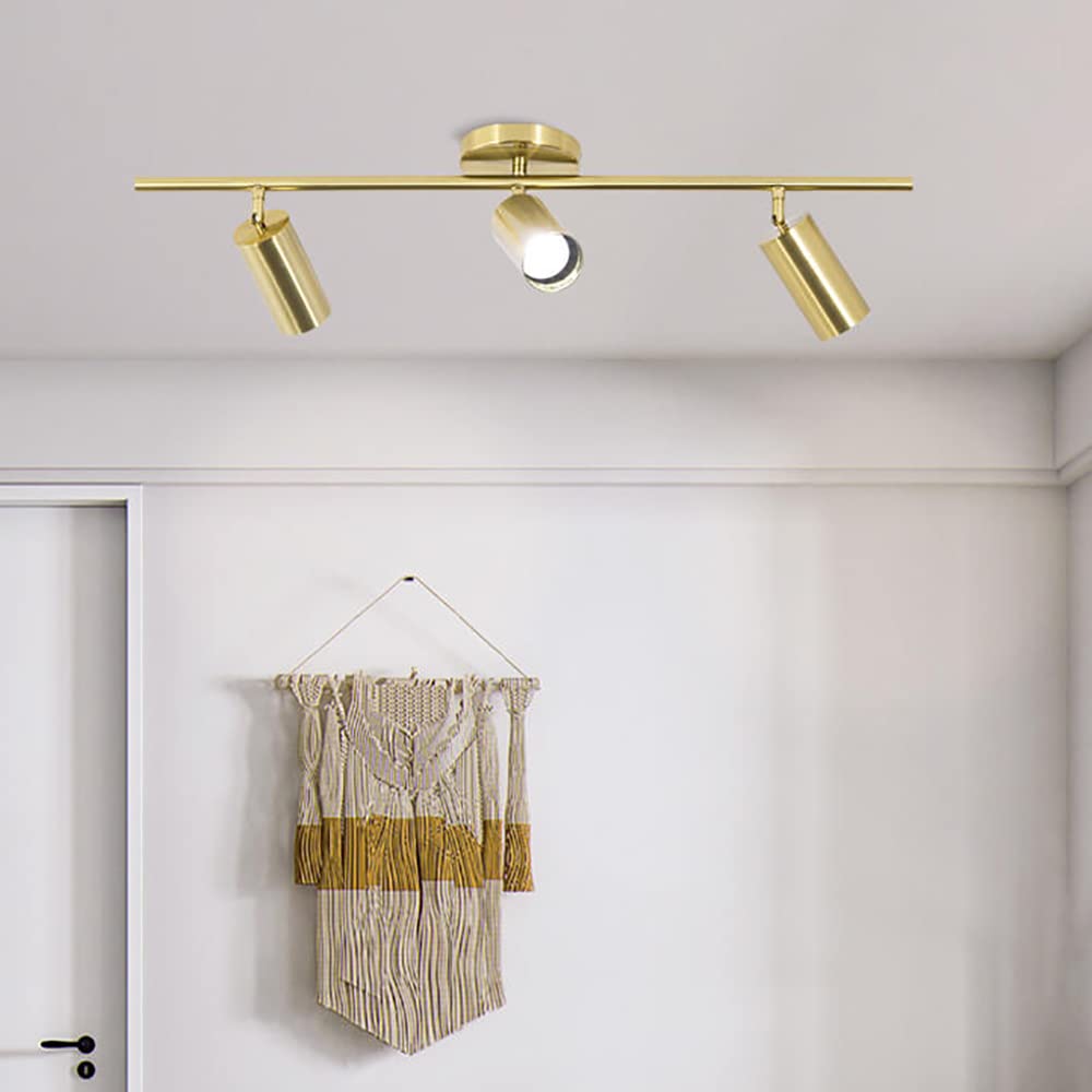 Aeyee Gold Track Lighting, Modern Spot Lights, Rotatable Light Heads, Ceiling Lights Fixtures