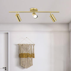 Aeyee Gold Track Lighting, Modern Spot Lights, Rotatable Light Heads, Ceiling Lights Fixtures