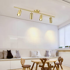 Aeyee Gold Track Lighting, Modern Spot Lights, Rotatable Light Heads, Ceiling Lights Fixtures