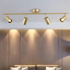 Aeyee Gold Track Lighting, Modern Spot Lights, Rotatable Light Heads, Ceiling Lights Fixtures