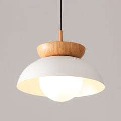 Aeyee Modern Glass Pendant Light Fixture, Dome Hanging Light, Adjustable Length Wood Hanging Pendant Lamp