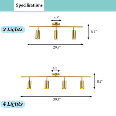 Aeyee Gold Track Lighting, Modern Spot Lights, Rotatable Light Heads, Ceiling Lights Fixtures